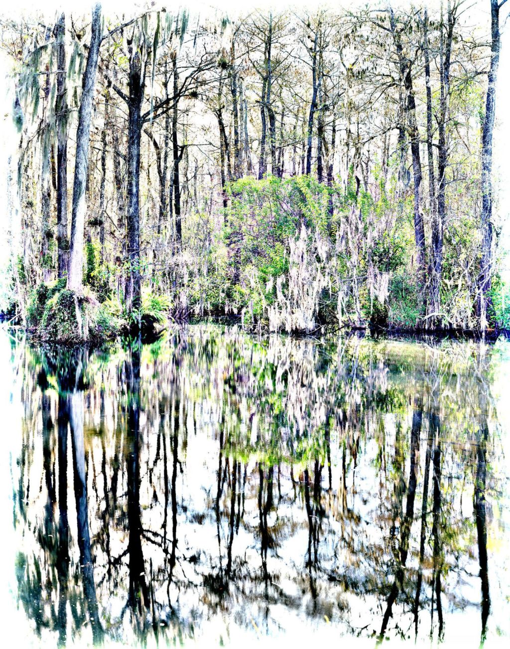  Everglades, 2003