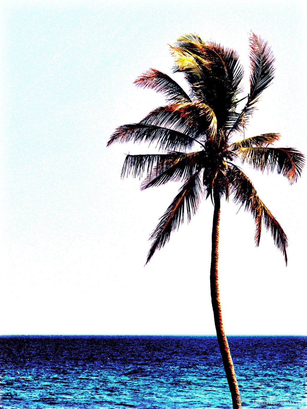 KeyWest, 2004