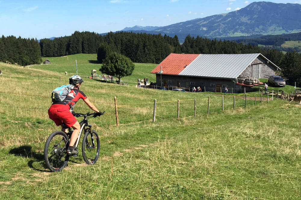 mtb-fahrtechnik-richtige-haltung