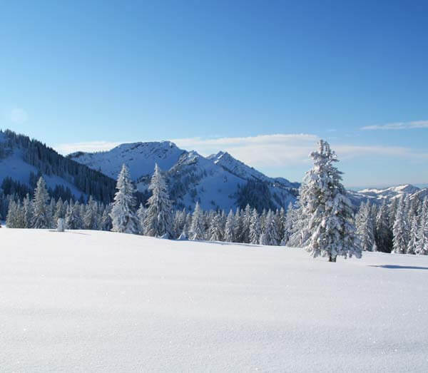Schneeschuhwandern Ganztagestouren im Allgäu